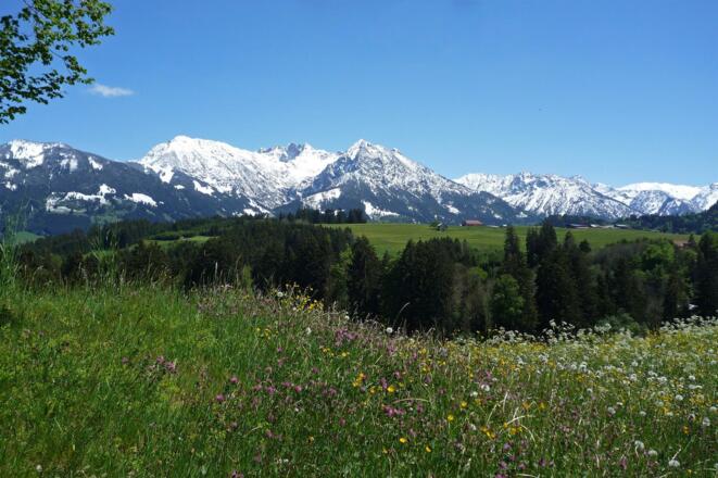 Bergpanorama im Allgäu