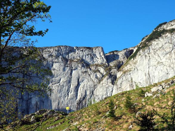 Wegverzweigung 1435m