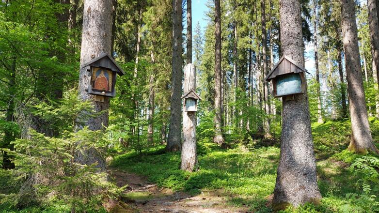 Drei Bilder bei der Anlaufalm