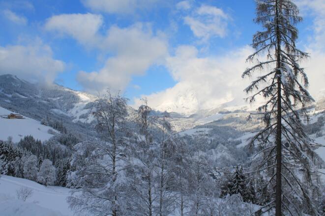 Paussbauer Panorama Winter