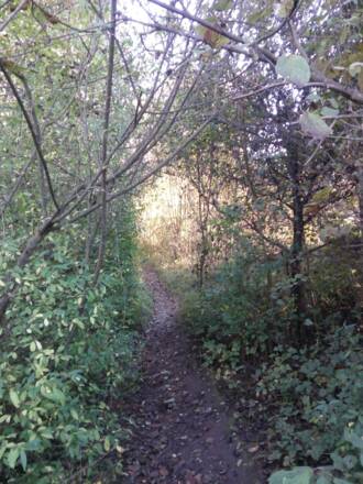 Naturweg
