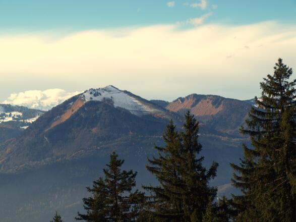 Blick zum Zwölferhorn um 1250m vor dem Hochwald