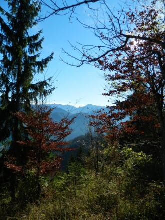 Blick zu Gamsstein und Voralpe
