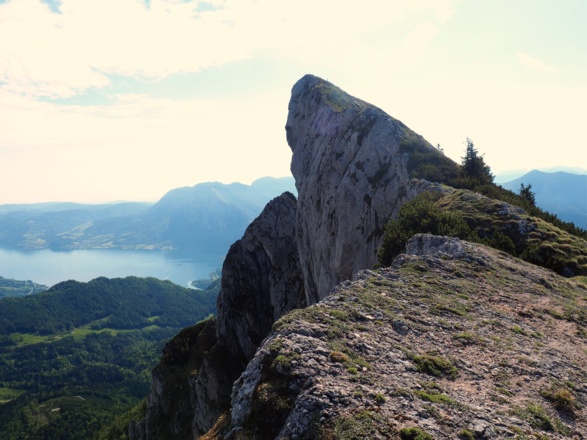 Spinnerin 1725m