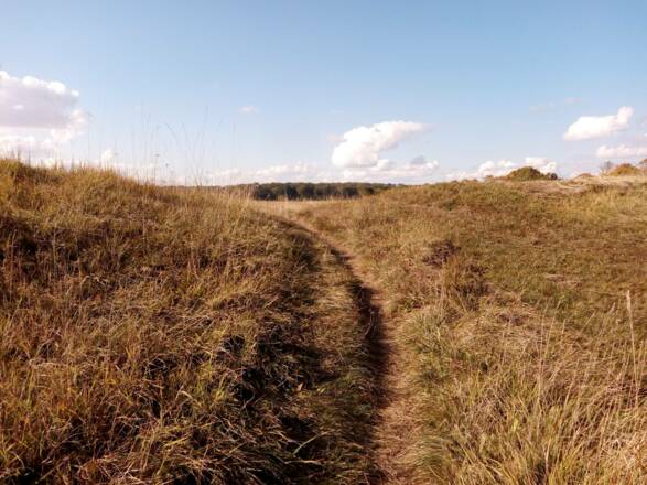 Weg durch Hügellandschaft
