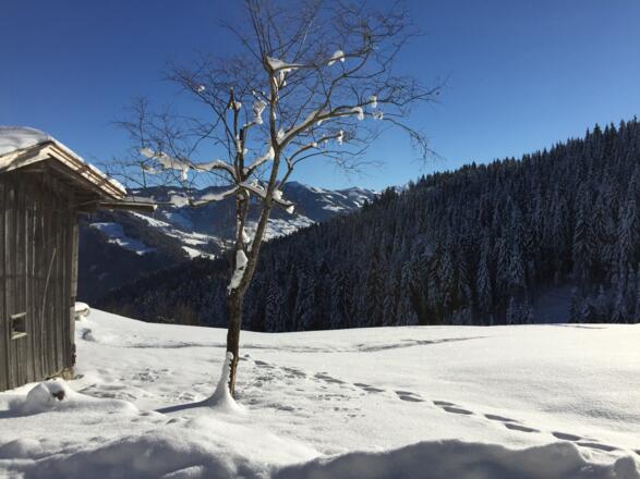 Schneeschuhwanderung am Reither Kogel