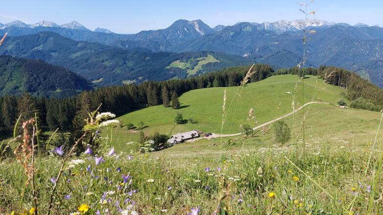 Gschwendtalm vom Gamsstein