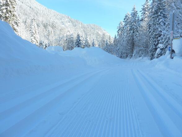 Blick vom Parkplatz Klamm in die Loipe