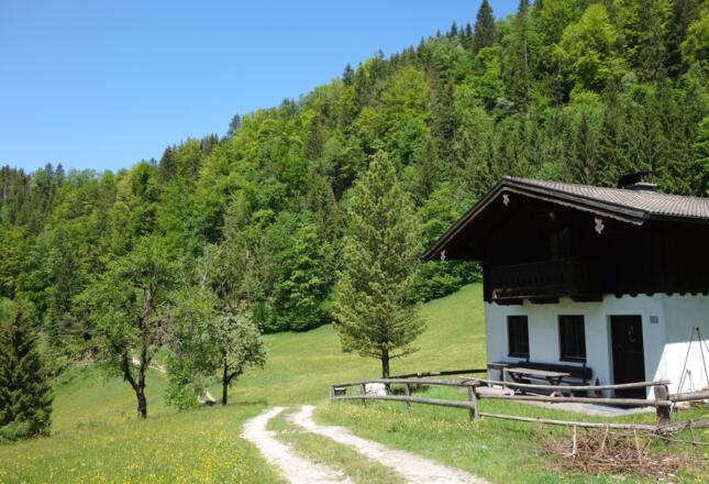 über Wiesen geht es hinauf auf die Almen