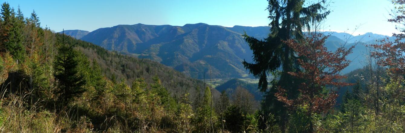Blick über die Ybbs zu Friesling und Bauernboden