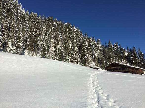 Schneeschuhwanderung am Reither Kogel