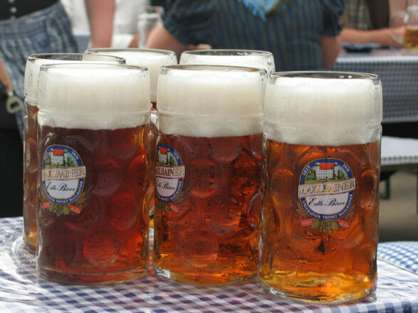 Sechs Maß Bier auf der Bierbank.