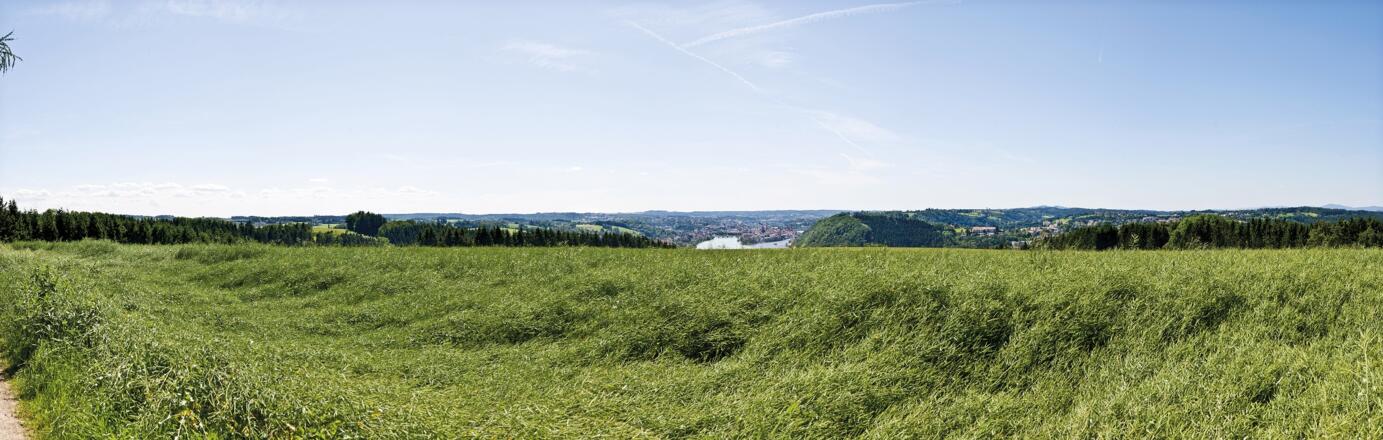 Freinberg