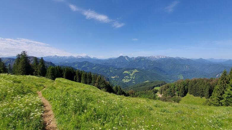Blick in den Nationalpark Kalkalpen