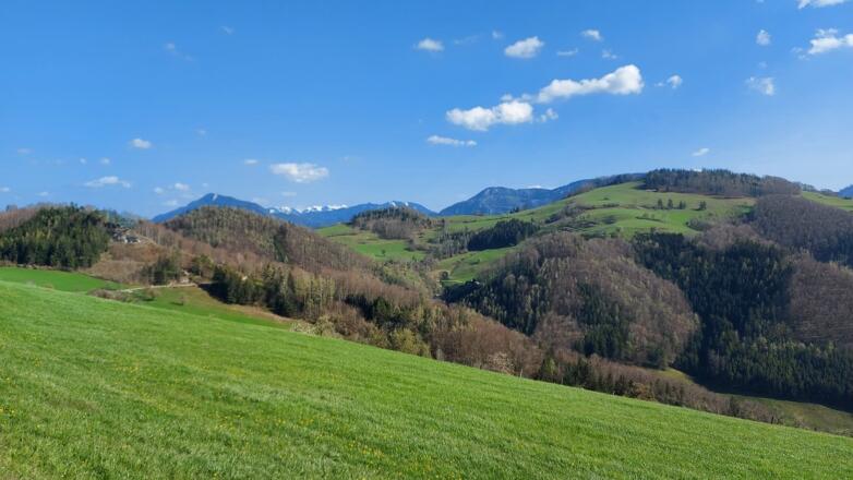 Ternberg Reitnerberg Panoramablick