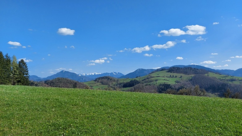 Ternberg vom Reitnerberg