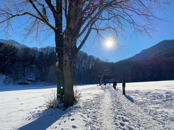 Winterwanderung Bankerlweg