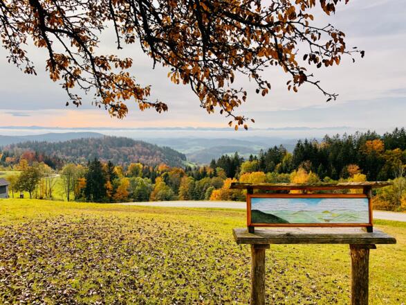 Forsthaus Hinteredt - Ausblick Windschopf