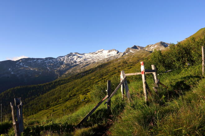 Blick auf den Keeskogel