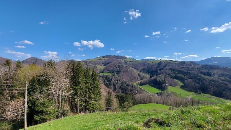 Ternberg Reitnerberg Panoramablick