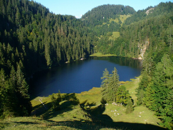 Taubensee1