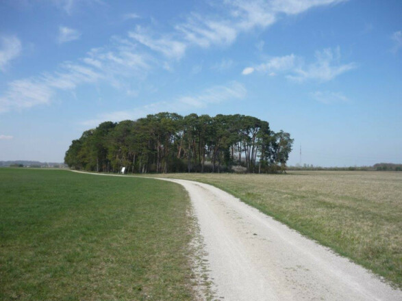 Schotterweg - Heidepfad bei Eching