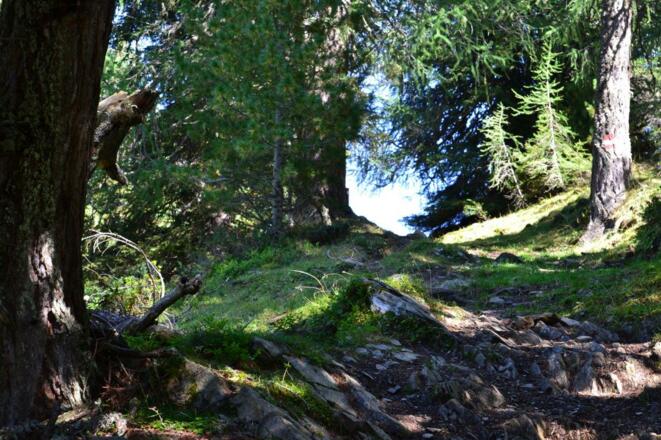 Rundwanderung Wasserknappenweg Innerkrems - Schönfeld: Entlang des Weges