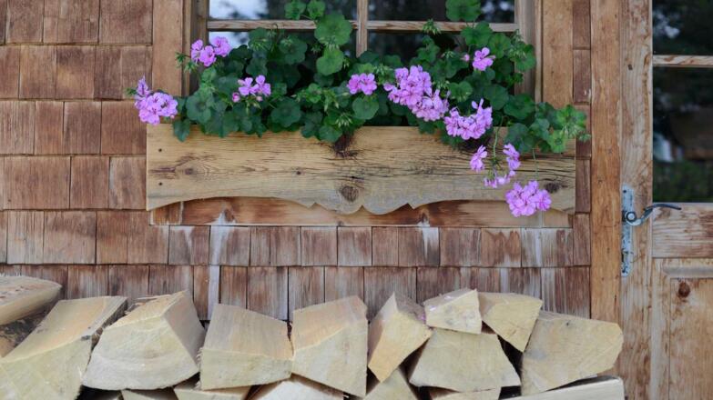 Aussenansicht im Sommer