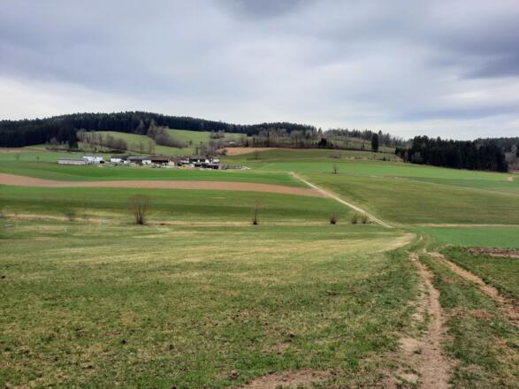 Pferdeeisenbahn Etappe 1B