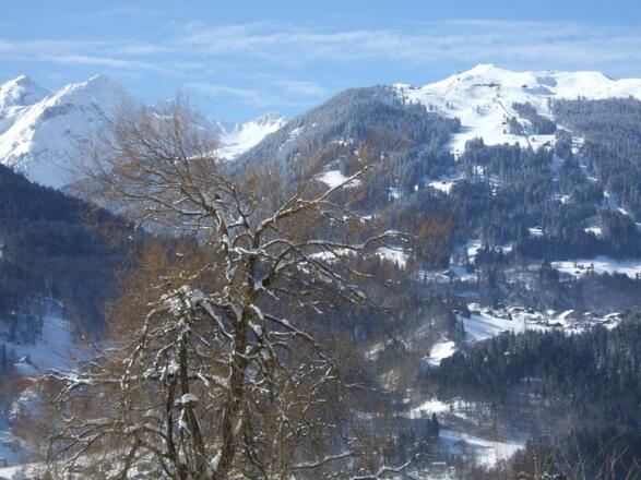 Blick Richtung Skigebiet Golm