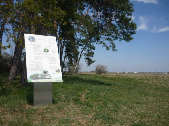 Schautafel - Heidepfad bei Eching