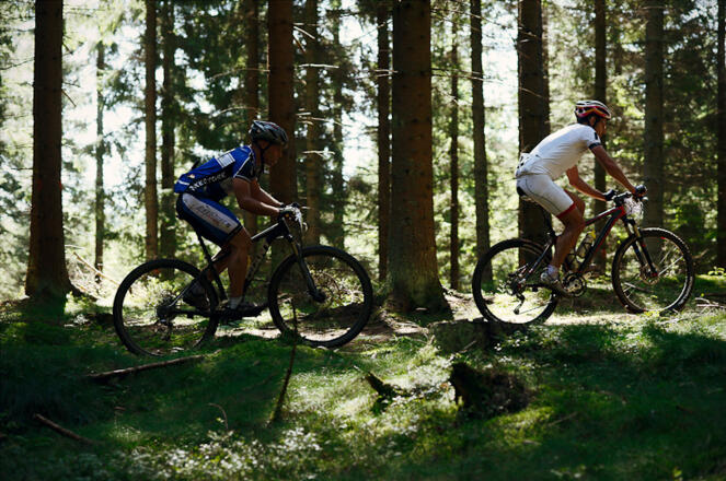 MountainbikerWaldSonneBlätter_TVBMühlviertlerAlmFreistadt_RobertDiesenreither.jpg