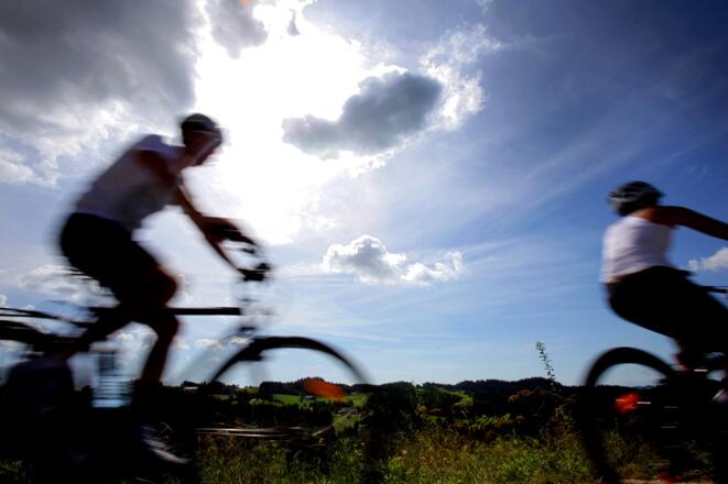 MountainbikeWald_OberoesterreichTourismusMuehlviertlerAlmFreistadtMoritzAblinger.jpg