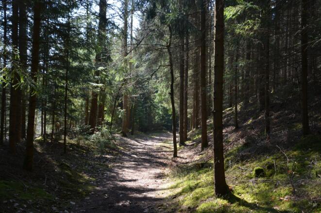 Trasse im Jaunitztal