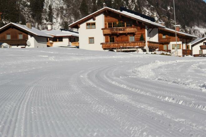 Haus Wally Dezember 2011 (49)