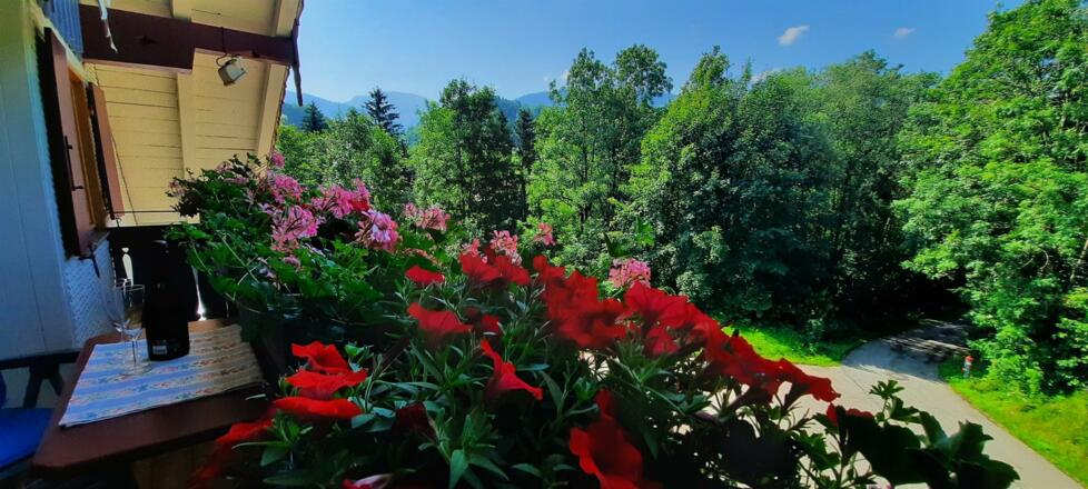 Blick vom Balkon