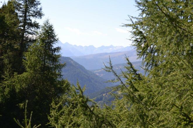 Rundwanderung Wasserknappenweg Innerkrems - Schönfeld: Blick nach Kärnten
