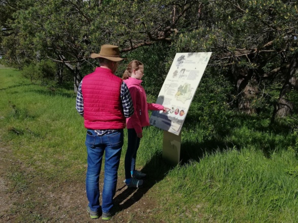 Informationstafel am Mallertshofer Holz auf dem Heidepfad