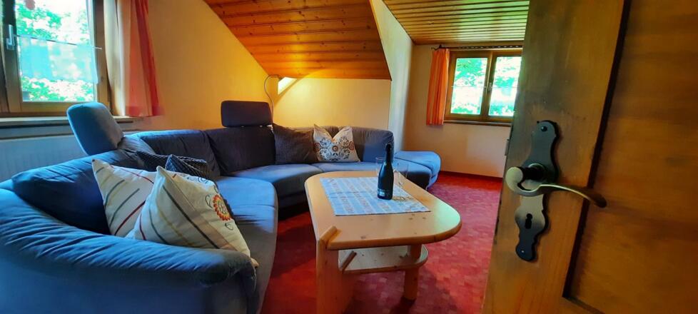 Blick ins Wohnzimmer