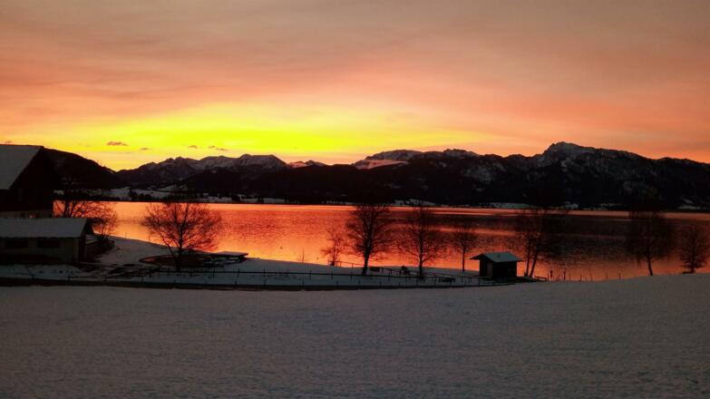 Sonnenaufgang am Forggensee