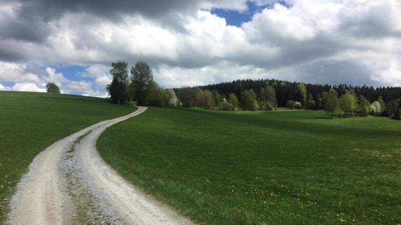 Mountainbike Runde in Windhaag bei Freistadt