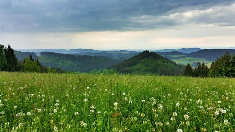 Wanderung Buchberg - Braunberg