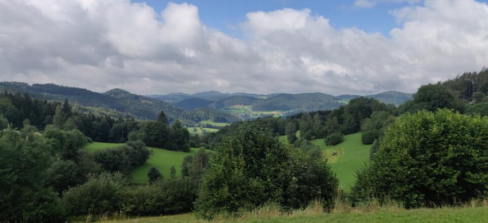 13. Ausblick ins Mühlviertel (kurz nach Unterweissenbach)