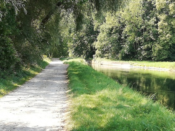 Schattiger Weg am Amperkanal