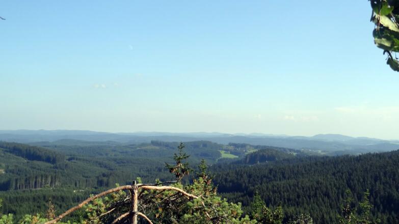 Blick vom Nesselberg