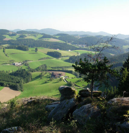 Sicht vom Wolfsberg Richtung Königswiesen