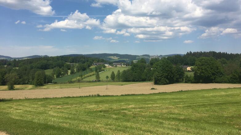 Landschaft entlang der MTB-Runde in Lasberg
