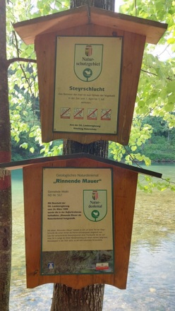 Naturschutzgebiet Steyrschlucht und Naturdenkmal Rinnende Mauer