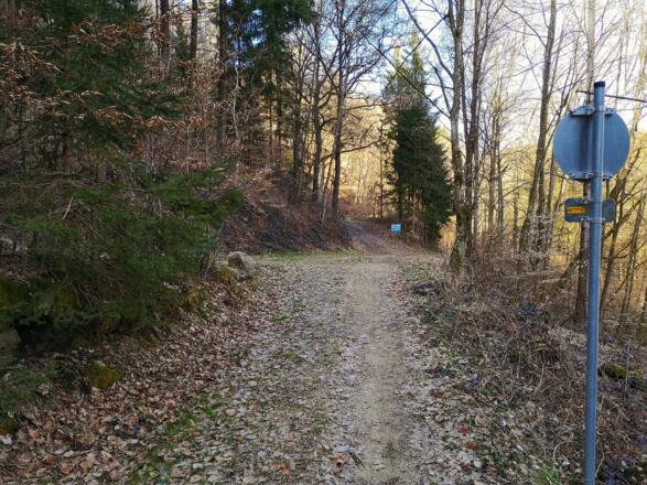 Kreuzung Pferdeeisenbahnweg mit Forststraße
