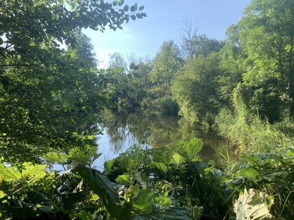 Biotop am Amperkanal